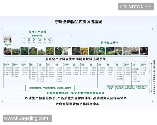 茶叶的文化传承与现代创新发展探索从品茗到产业升级的多维度分析